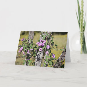 Fleurs de gloire du matin sur la carte de note de