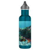 Fleurs de la bouteille d'eau de mer (Droite)