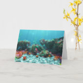 Fleurs de la carte maritime (Fleur jaune)