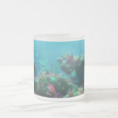 Fleurs de la Mug de Mer (Centre)