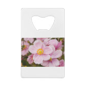 Fleurs de l'anémone japonaise (Dos)