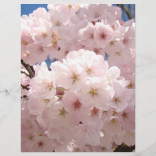 Fleurs de l'arbre rose papier scrapbooking