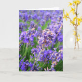 Fleurs de lavande - Carte (Fleur jaune)