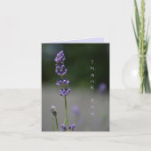 Fleurs de lavande Florale Botanique Photographie (Devant)