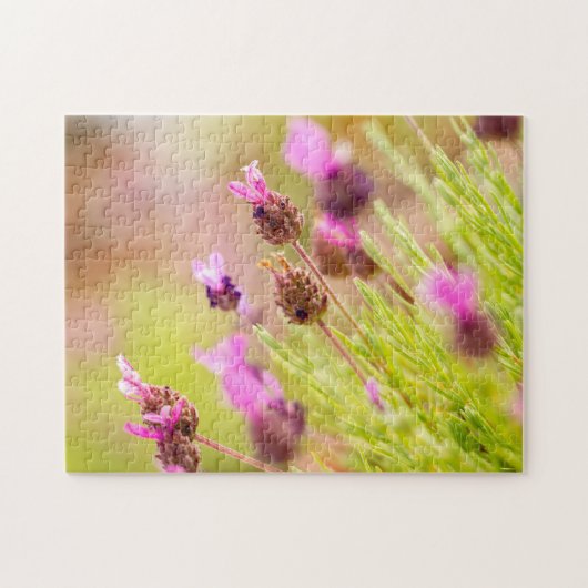 Fleurs de Lavande Française Puzzle (Horizontal)