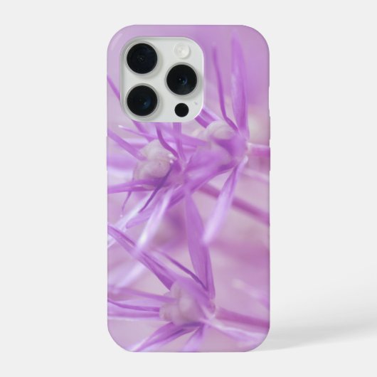 Fleurs de Lavande Violettes (Verso)