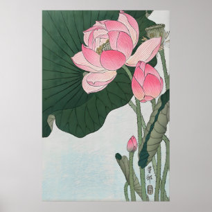 Fleurs de lotus épanouies Impression d'art fin jap