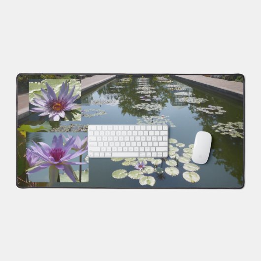 Fleurs de Lotus pourpres dans le chaudron de burea (Clavier et souris)
