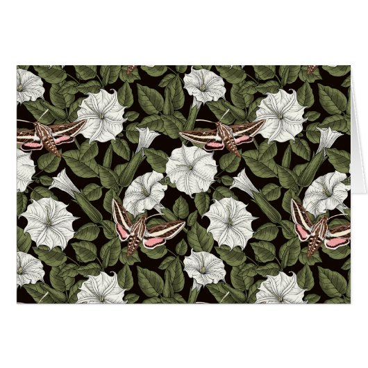 Fleurs de lune et sphinx Mois (Devant horizontal)