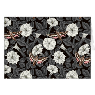 Fleurs de lune et sphinx Moths 2