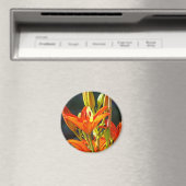 Fleurs de lys orange magnets Toucher de guérison (In Situ (Lave-vaisselle))