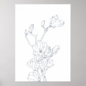 fleurs de magnolia dessin Poster (Devant)