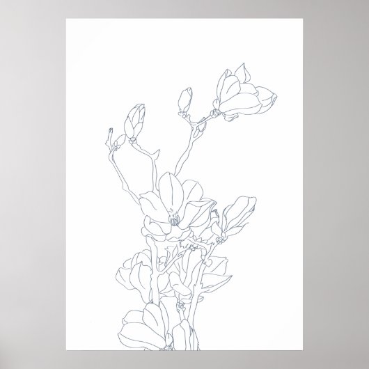fleurs de magnolia dessin Poster (Devant)