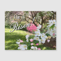 Fleurs de mai Magnet Rose de Pâques
