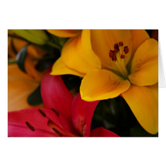 Fleurs de marché II