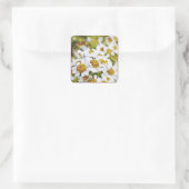 Fleurs de marguerite blanche - Sticker d'art de pe (Sac)
