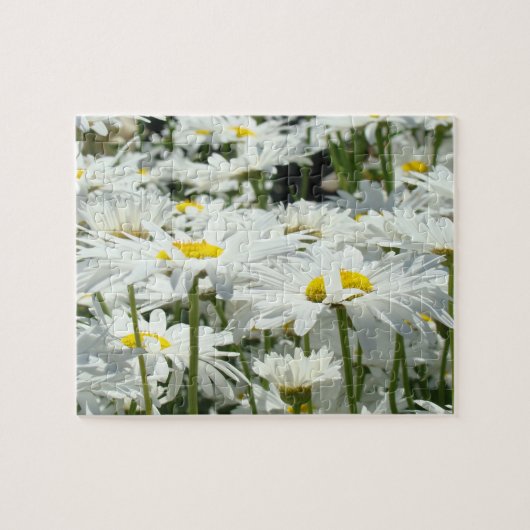 Fleurs de marguerite Jardin Puzzle Fun Time Puzzle (Horizontal)