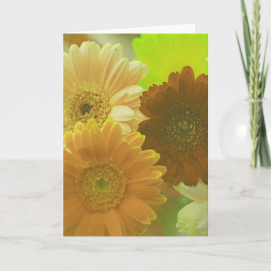 Fleurs de marguerite jaune Note photo ou Cartes de (Devant)