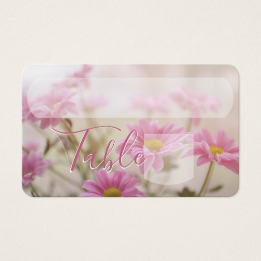 Fleurs de marguerite rose (Devant)