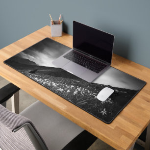 Fleurs de narcisse blanches dans l'obscurité