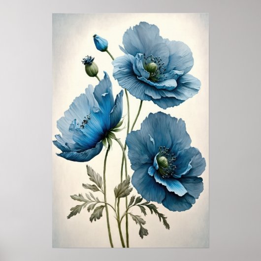 Fleurs de pavot bleu Art Imprimer Poster (Devant)