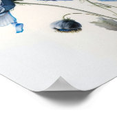 Fleurs de pavot bleu Art Imprimer Poster (Coin)