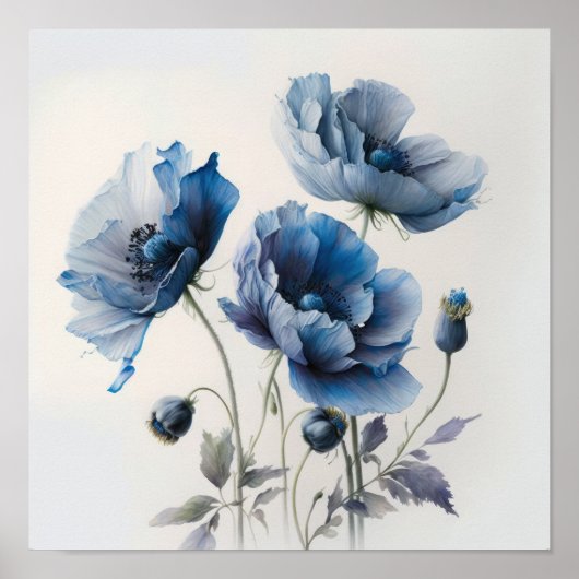 Fleurs de pavot bleu Art Imprimer Poster (Devant)