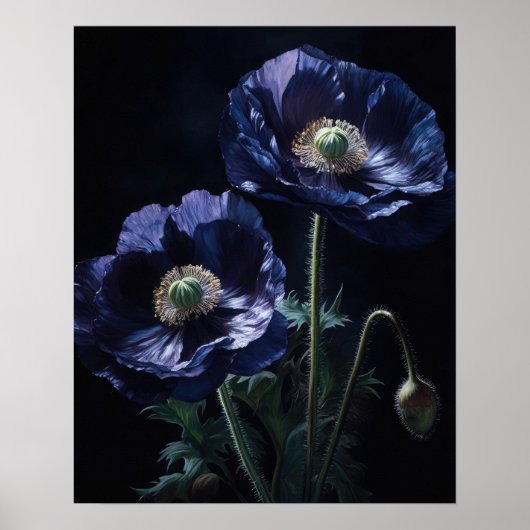 Fleurs de pavot bleu Art Imprimer Poster (Devant)