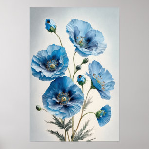 Fleurs de pavot bleu Art Imprimer Poster