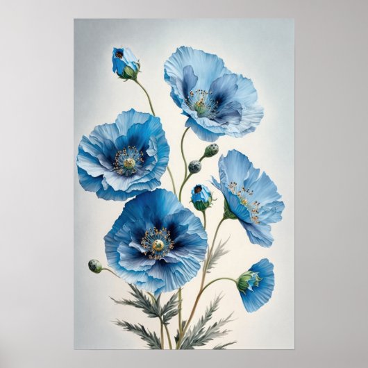 Fleurs de pavot bleu Art Imprimer Poster (Devant)