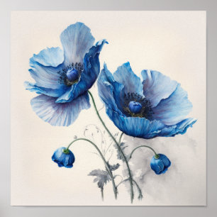 Fleurs de pavot bleu Art Imprimer Poster