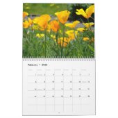 Fleurs de PAVOT de calendrier de pavots de (Feb 2026)