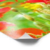 Fleurs de pavot rouge Pépites photo (Coin)