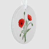 Fleurs de pavot rouges (devant)