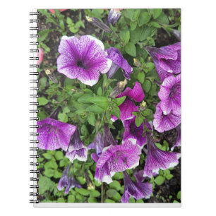 Fleurs de pétunia violettes Cahier de photographie