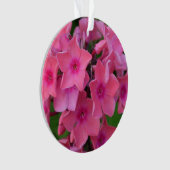 Fleurs de Phlox de roses indien (devant)