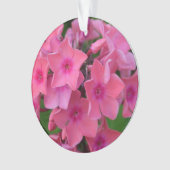 Fleurs de Phlox de roses indien (devant)
