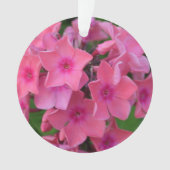 Fleurs de Phlox de roses indien (devant)