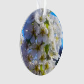 Fleurs de poires (devant)