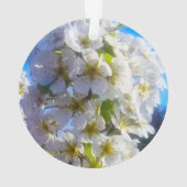 Fleurs de poires (dos)