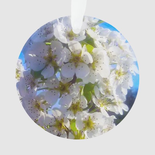 Fleurs de poires (devant)