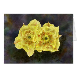 Fleurs de poires de prickley