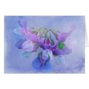 Fleurs de pois de plage