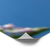 FLEURS DE POMMIER PRINTEMPS Art Impressions Affich (Coin)