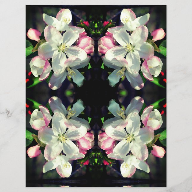 Fleurs de pommier sauvage papier scrapbook (Devant)