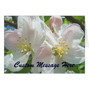 Fleurs de pommiers en fleurs Cartes personnalisées