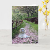 Fleurs de pourpre de carte de Shih Tzu (Fleur jaune)