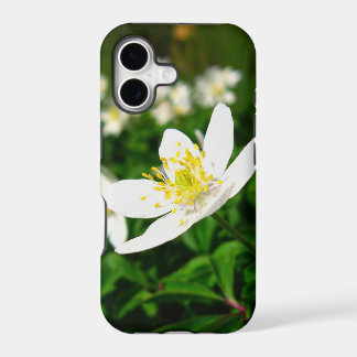 fleurs de printemps