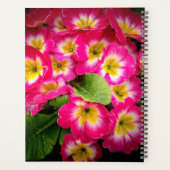 Fleurs de printemps 2024 (Dos)