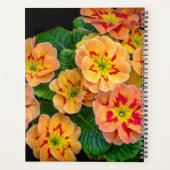 Fleurs de printemps 2024 (Dos)